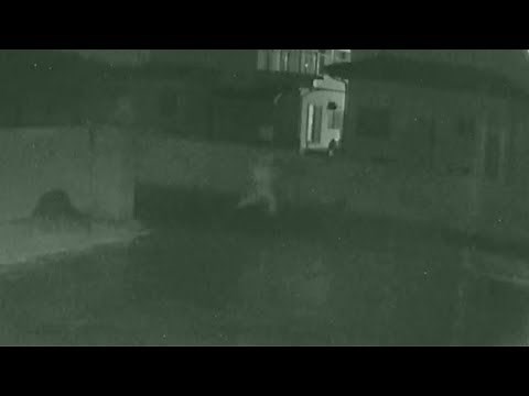 防犯カメラに逃げる人影 茨城・八千代町で殺人事件