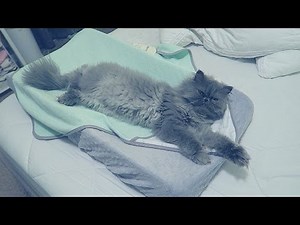 YOU WIN SOME, YOU LOSE SOME!