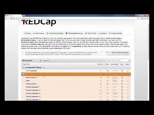 REDCap Topic Session - Avoid REDCap User Pitfalls