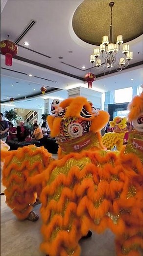 LION DANCE Performance #liondance