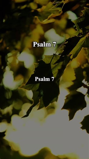 Trust in God's Protection: A Reflection on Psalm 7