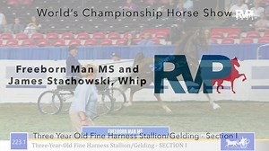 WCHS23 - Class 223.1 - Freeborn Man MS and James Stachowski, Whip