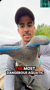 30K reactions · 2.7K shares | A well earned name, again I’ve got fantastic life insurance, my agent said this is not risky behavior…#lifeinsurancesavesthebay #baylife | Bay Life Brokerage | Facebook