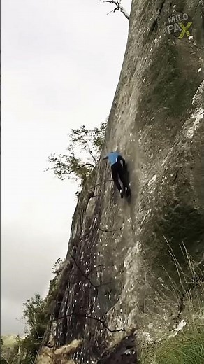 He Fell Off a Cliff… and Survived?! 😱🧗‍♂️