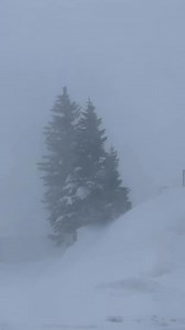 10K views · 163 reactions | Live look at conditions in Mammoth Lakes...