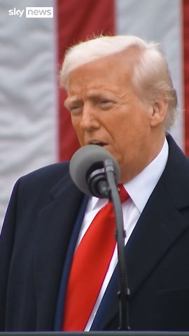 Closer look at Trump's 'tariff chart'