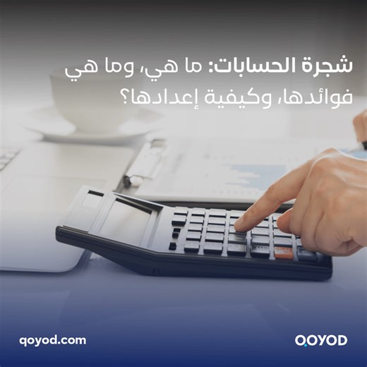 ما هي شجرة الحسابات وكيفية إعدادها | مدونة قيود