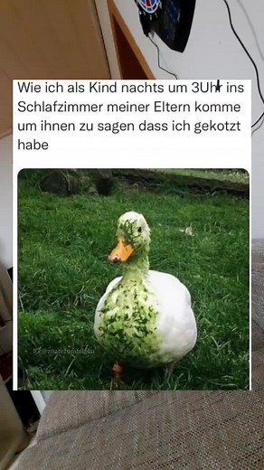 Charming White Duck Enjoys Grassy Pondside Scene
