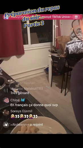 Préparation du repas du soir : Partie 3