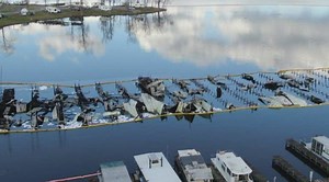 Backyard Sports Lineup