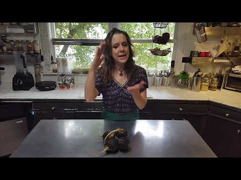 What is a black radish and why do you need it?