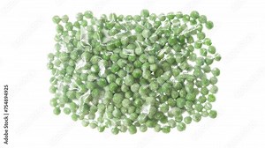 Packaging and Freezing Fresh Peas. Young green peas are vacuum packed and rapidly cooled with an ice jet, creating a white steam effect on a white background