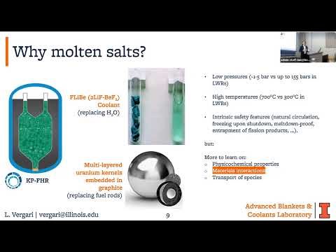 Chemistry and Physics of Graphite in Molten Fluoride Salts, L. Vergari