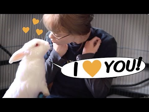 7 Ways to Know Your Rabbit Loves You