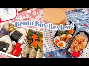 What Bento Box Should I Get?!? Bento Box Review