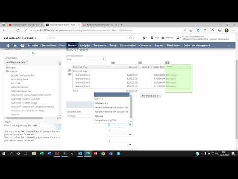 CTA cumulative translation adjustment on netsuite oneworld