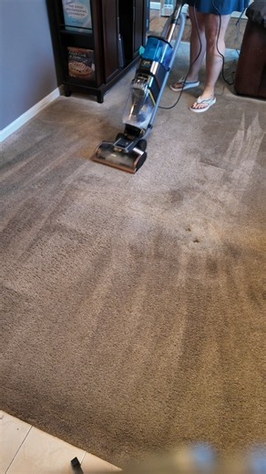 Everything You Need to Know About the Shark CarpetXpert HairPro StainStriker