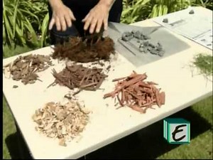 Landscaping Tips- The Why and How of Mulch