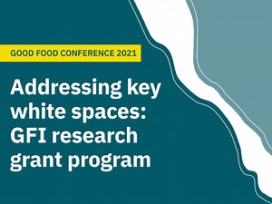 Addressing key white spaces: GFI research grant program - The Good Food Institute