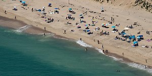 Over 20 great white shark sightings reported off Cape Cod this week, forcing beach closures