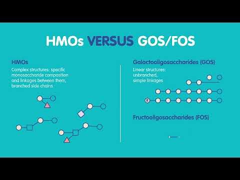 What you need to know about Human Milk Oligosaccharides (HMOs)