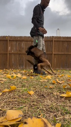 6.8K views · 35 reactions | Link in bio! Its not about what im doing, its about how im able to do so… | Abby Hoskins | Facebook