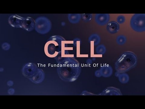 “CELL | Structure, Functions, Organelles | BSc Nursing | Nursing Students Must Watch”