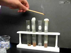SchoolTube Liver Enzyme Lab