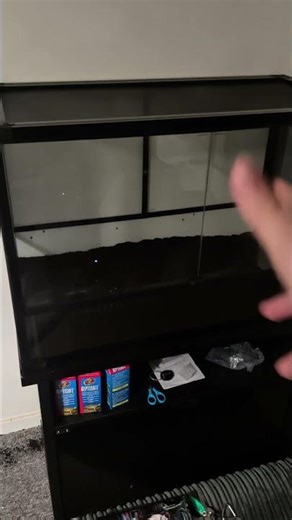 My White Tree Frog Reptile Tank Setup stage✅