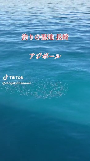釣りの聖地 長崎 アジの群れ #釣り #fishing #おすすめ #ルアー釣り #アジング #魚釣り #釣り初心者 #いいね