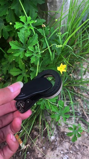 Exploring Macro Lens Effects for Mobile Videography