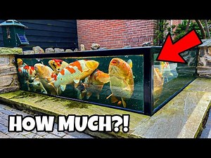 You need this to BUILD a AMAZING Koi Pond (Expensive?!)