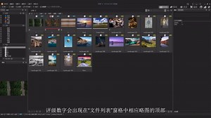 【零基础教程】-5分钟看懂ACDSee 2023 编目功能