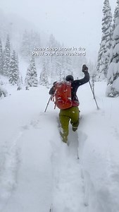 Still can’t believe we saw this much snow at @crystalmountain in October! Do you think La Niña will keep delivering so they can meet their projected November 21 opening day? 🤔 The trek into this zone at Crystal Mountain is relatively low angle, and you can expect to skin back out on deep days like this past Sunday. But the wind tends to blow snow off the ridges and down into the valley and it just seems to always pile up like this. This makes it my top choice for early season backcountry ski mi