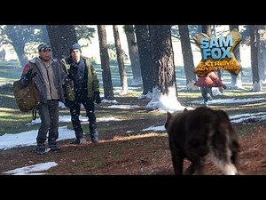 Sam Fox: Extreme Adventures S1 E24: Polar Peril