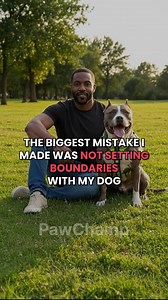 7.3K views · 15 reactions |  The one resource you will need to train your dog, solve problems, and have fun together  All the essentials in one place for you and your dog  Detailed instructions with clear illustrations  Easy-to-follow progress checker | Dog Obedience Challenge | Facebook