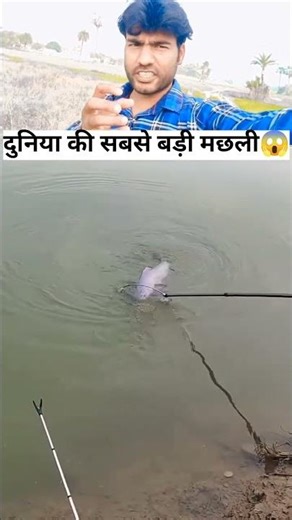 दुनिया की सबसे बड़ी मछली पकड़ी😱 #trendingshorts #facts #comedyshorts #fishing