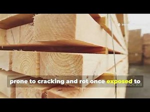 Medieval Timber Was Practically Immortal - Here's the Secret