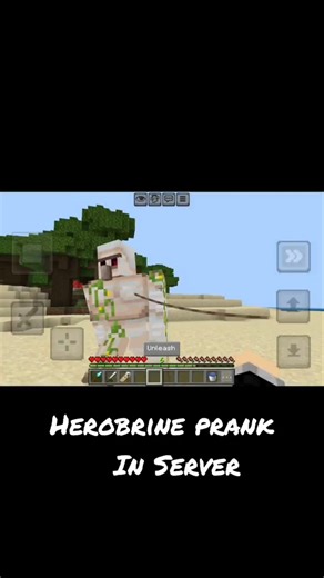 Herobrine prank in SERVER 🤫