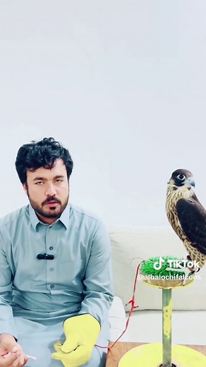 حسابات مقترحة