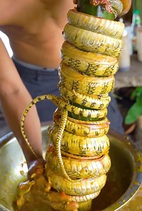 131K views · 2K reactions | New! SNake Grill Eating Delicious  | Wilderness Food | Facebook