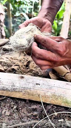 Friction Fires: Igniting Ancient Survival Skills in Modern Times