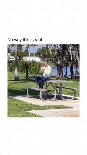 Dank Clips on Instagram: "Follow @viralvidz.ig For More! 簾 Credits : Unknown DM for credit or removal request (no copyright intended) ©️ All rights and credits reserved to the respective owner(s) - - - #memes #explore #reels #viral #funny #relatable #wholesome #funnyvideos"