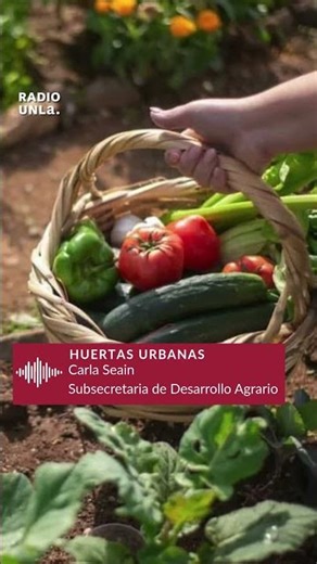 Programa de huertas urbanas bonaerenses | Radio UNLa
