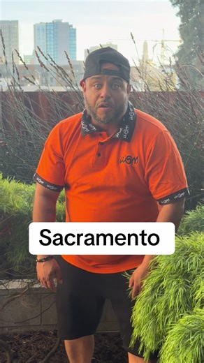 Starting march 22, we will be in Sacramento at the @intozengarden every Sunday. We will be announcing times soon 🔥😎 Zen Garden 7909 Bruceville RD Sacramento Ca March 22nd!