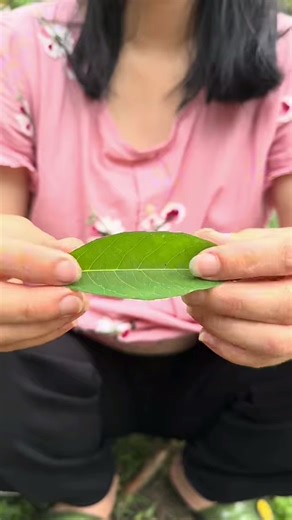 🌿✨🌿✨How to Whistle with a Leaf to Call Your Friend in the Forest - Cool Survival Skill!#bushcraft