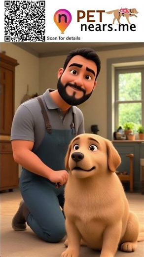 K9 Resorts Luxury Pet Hotel Cherry Hill - Pet Boarding Service | Pet Near Me 749