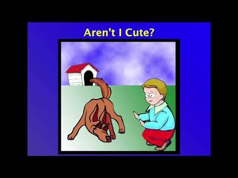 Safety Around Dogs - A Workshop for Kids