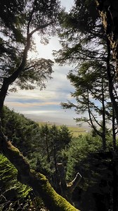 23 reactions · 3 comments | It’s a beautiful day at Ocean Crest Resort ✨ Where every glance at the ocean horizon and the whisper of the breeze invites pure serenity. Discover the magic of the PNW, where nature meets tranquility. #OceanCrestResort #PacificNorthwest #SereneViews | Ocean Crest Resort | Facebook