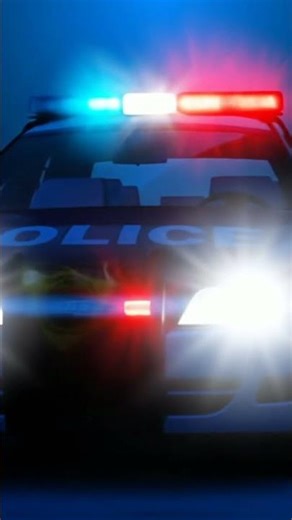 police siren (sound effect)